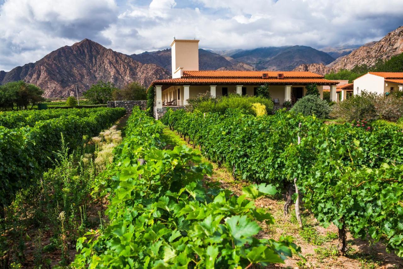 Vinas De Cafayate Wine Resort Bagian luar foto