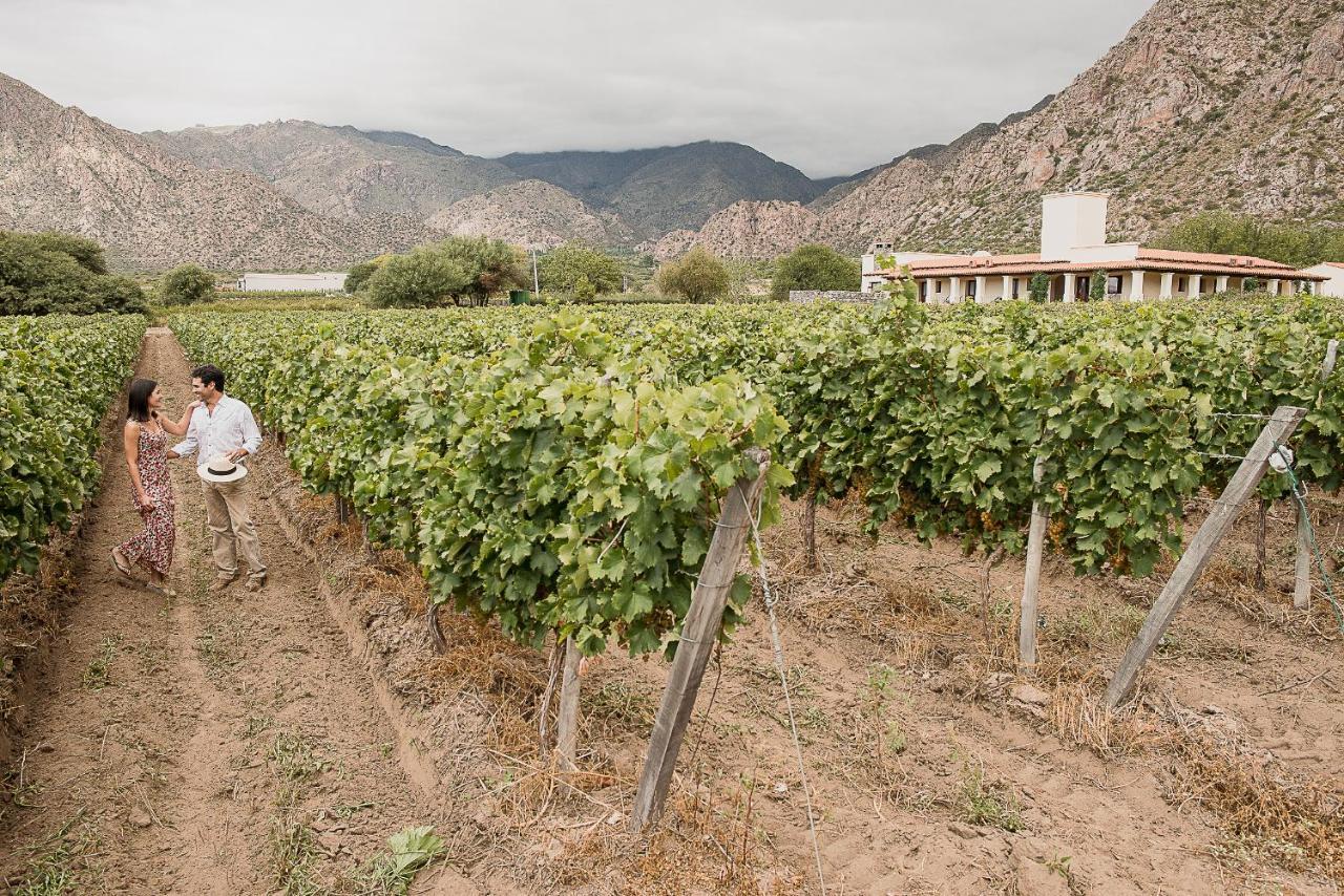 Vinas De Cafayate Wine Resort Bagian luar foto