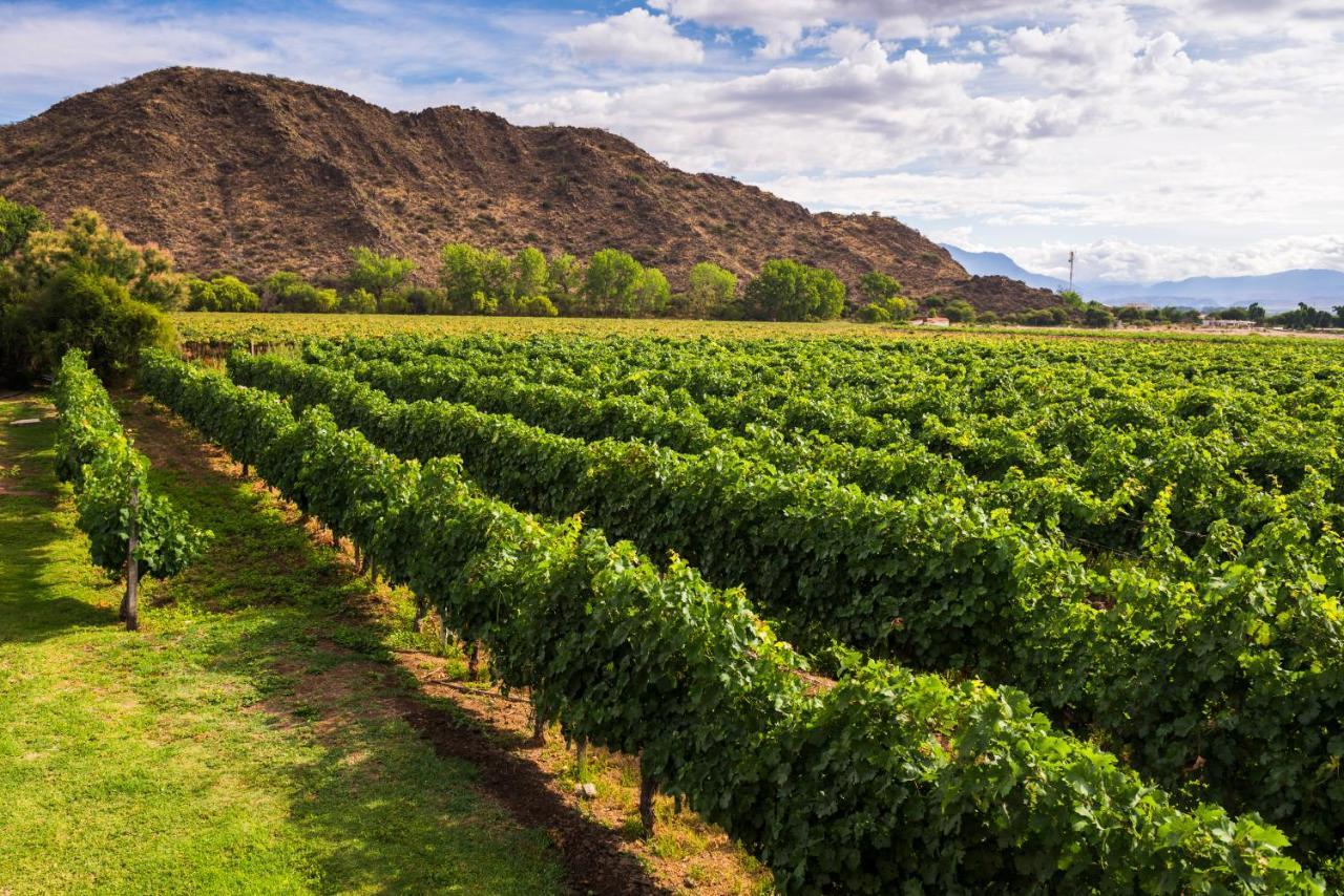 Vinas De Cafayate Wine Resort Bagian luar foto