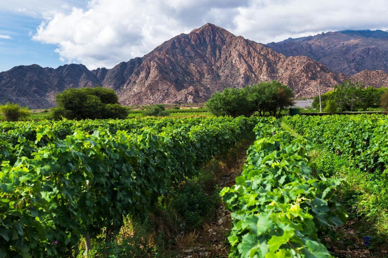 Vinas De Cafayate Wine Resort Bagian luar foto